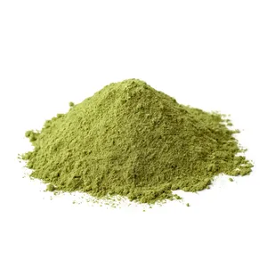 Poudre d'Andrographis Paniculata Premium 10% Andrographolides, Poudre Verte de Chiretta à Base de Plantes pour le Soutien de la Santé, Exportation Inde - Product Image 2