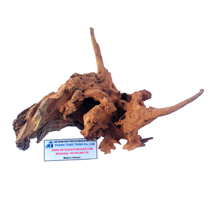 Décoration d'aquarium en bois flotté naturel Thanh Tung Thinh, forme irrégulière, écologique, ornement pour aquarium, fabriqué au Vietnam - Product Image 2