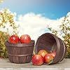 Round Wooden Basket with Handle Multipurpose Fruit <b>Storage</b> Bucket - Product Image 4