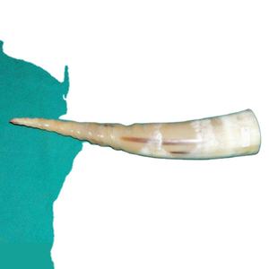 Viking <b>Drinking</b> <b>Horns</b> with <b>Horn</b> Stand Made of <b>Horn</b> Eco-Friendly Modern Design Manufacturer and Exporter From India - Product Image 1