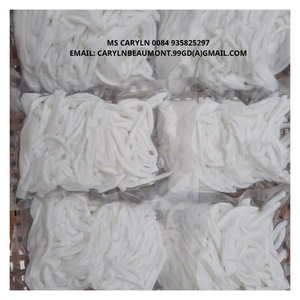 Viande de noix de coco congelée, douce et tendre, avec un arôme authentique, le meilleur choix pour les garnitures de desserts, les sauces à la noix de coco et les collations biologiques - CARYLN - Product Image 1