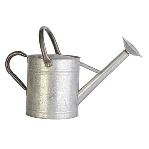Classic Iron Antique <b>Watering</b> <b>Can</b> Engraved Eco-Friendly Durable Metal Garden <b>Vintage</b> Indoor Outdoor Home Decor Planter 1.5L - Product Image 4