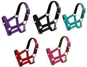 Cabestro de Cuero Estilo Western Personalizado y Elegante para Montar a Caballo, Acolchado Suave, Producto Profesional de Fabricante de la India - Product Image 2