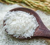 Riz Jasmin Thaï Bio en Gros, Blanc Pur, Grain Moyen, Texture Ferme, Frais et Séché, Qualité Supérieure, Certifié HACCP ISO, 5% de Brisure