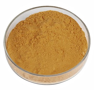Extracto de Cebada en Polvo de Alta Calidad 10:1, 100% Puro y Natural, Polvo de Hordeum Vulgare de Grado Alimenticio, Polvo de Cebada de la India - Product Image 1