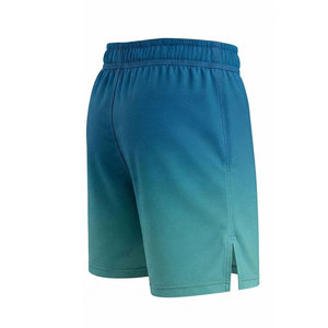 Lightweight MMA <b>Shorts</b> <b>Men</b> Fight Training <b>Combat</b> Gym Sportswear Quick Dry Flexible Athletic <b>Shorts</b> Wholesale - Product Image 5