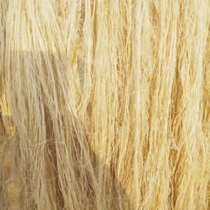 Fibre de banane 100 % écologique, extraite du pseudostème de banane, pour la fabrication de fils, de cordes et de tapis - Product Image 1