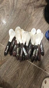 Eco Friendly Handmade Mother of Pearl Spoon with Various Designs and Sizes - Product Image 4