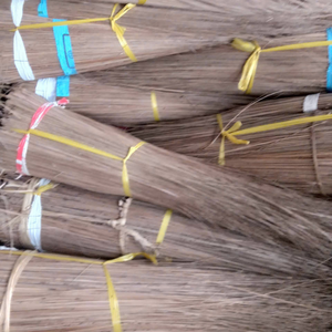 Bâtonnets de noix de coco purs et artisanaux, origine Vietnam, pour brochettes de barbecue et apéritifs savoureux pour les repas quotidiens, par 99 Gold Data Co. - Product Image 1