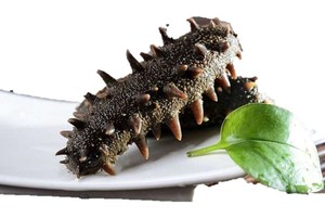 Premium Vietnamese Dried Sea Cucumber for Export - Product Image 2