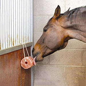 Sel de l'Himalaya de qualité supérieure fabriqué au Pakistan, en gros, bloc de sel rond pour animaux de 2-3 kg - Product Image 4