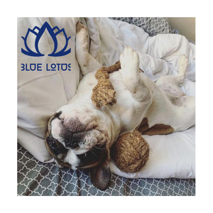 Juguete Masticable para Perros de Fibra de Coco Natural, Limpia los Dientes, Masajea las Encías, Alivia el Aburrimiento y la Ansiedad, No Tóxico, Duradero - Product Image 1