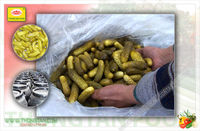 Meilleur prix du Vietnam Cornichons acides marinés Concombres doux épicés Tambour en vrac HACCP BRC IFs Vinaigre de sel en conserve frais certifié