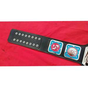 the NWA Television Heavyweight Wrestling Championship Belt - Product Image 5