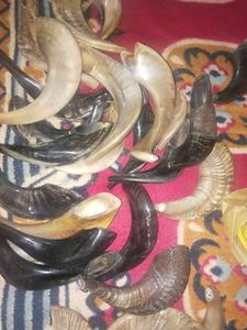 โชฟาร์ทำมือที่เป็นเอกลักษณ์ โชฟาร์เขาแกะที่สวยงามสำหรับงานเฉลิมฉลองจากอินเดีย ขายส่งเขาคูดูและเขาแกะเป็นจำนวนมาก - Product Image 2