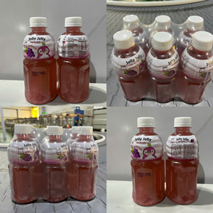 Jolly Jolly Nata De Coco 320ml Botella PET Jugo de Frutas y Verduras Gran Sabor Muestra Gratis Diseño Personalizado Marca Privada - Product Image 3