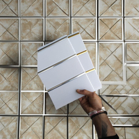 Plafonds et panneaux en PVC avec design artistique, installation de grille de plafond, imperméable et anti-moisissure pour hôtels, hôpitaux, centres commerciaux