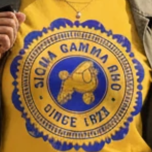 Camiseta Personalizada de Verano para Mujer con el Sello Antiguo de Sigma Gamma Rho, Diseño Gráfico del Escudo de la Hermandad Griega, Cuello Redondo, Manga Corta, Algodón Ecológico - Product Image 6