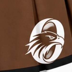 Jupe plissée marron sublimée pour cheerleading, bas de tenue sportive d'équipe, vêtements d'entraînement, performance et compétition - Product Image 6