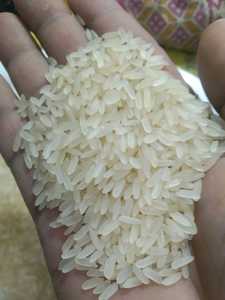 Best Quality IR 64 White Rice 5% Broken Long <b>Grain</b> Non-Basmati Dried Soft Texture Indian Origin Wholesale Export at Low Price - Product Image 6