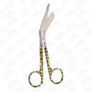 Trousse médicale pour infirmières et premiers intervenants avec instruments chirurgicaux, dentaires et médicaux pour usage professionnel - Product Image 6