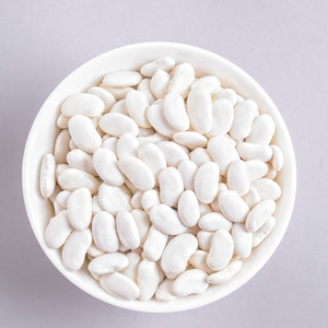 Frijoles Blancos de Primera Calidad para Exportación con 99% de Pureza Natural para Programas de Suministro de Ingredientes Alimenticios a Granel a Nivel Mundial - Product Image 3