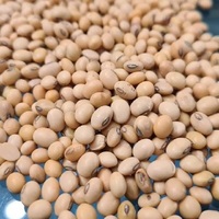 Graines de soja en gros, naturelles, non-OGM, de qualité alimentaire, riches en protéines, pour usage alimentaire, par les exportateurs