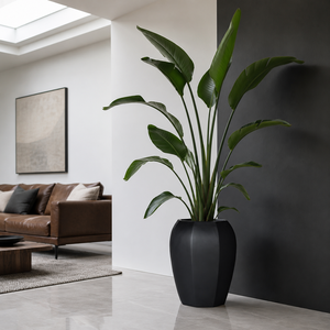 Maceta Alta y Profunda de Fibra de Vidrio de Ocho Lados, Color Negro Intenso, para Plantas <span class=keywords><strong>con</strong></span> Raíces Profundas, como Olivos, <span class=keywords><strong>Palmeras</strong></span> y Bambúes, en Tres Tamaños - Product Image 3