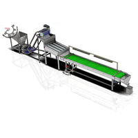 Chaîne de tri agricole automatique TTQ pour noyaux de noix de cajou, décortiqueuses à convoyeur, capacité 1000 kg, 220V/380V, puissance 0,4 kW, pour le traitement des noix de cajou