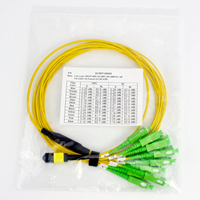 Kabel Patch Fiber Fanout DAMU DM-MPO-SC-OS2-12F MPO 12 Core ke SC APC SM Single Mode Breakout Cable FTTH untuk Jaringan Pusat Data