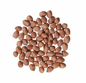 Cacahuetes Crudos Orgánicos con 26% de Proteína de la India - Product Image 6