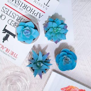 Ensemble de 4 succulentes artificielles en pot bleues pour la maison, le bureau, petites plantes décoratives d'intérieur pour les étagères, les tables - Succulentes artificielles - Product Image 4