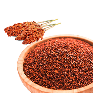 Millet Rouge Nutritif de Haute Qualité, Grains Entiers, Idéal pour les Repas Sains, la Transformation Alimentaire et les Lignes de Produits d'Épicerie au Détail - Product Image 1