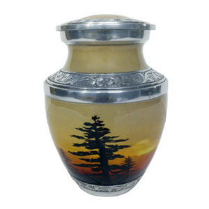 Urna de bosque para cenizas de adultos 200 Cubic Human Warm and Loving Lugar de descanso final para seres queridos Suministros funerarios - Product Image 3