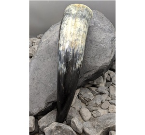 Customized Carved Viking Ship Style Drinking Horn Natural Crafts for Beer Mead Ale New Viking Style Business Gift - Product Image 5