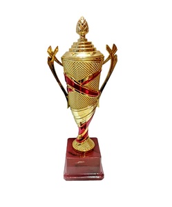 Trophée de reconnaissance en métal personnalisé de luxe, style indien, pour les célébrations d'équipe, les événements annuels et les événements d'entreprise, disponible en gros - Product Image 3
