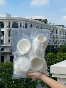 Vietnam Frozen <b>Coconut</b> Pieces Bulk Supply for Beverage Factory and Food Service - Product Image 4