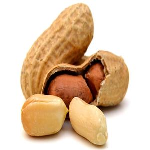 Nueces de guisante de sabor natural, las más nuevas - Product Image 3