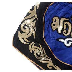 Shorts de boxe Muay Thai personnalisés avec logo, shorts d'entraînement en satin, légers, style thaïlandais, vêtements d'arts martiaux - Product Image 3