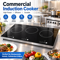 Table de cuisson à induction moderne OEM à 3 brûleurs en acier inoxydable avec surface en verre pour cuisines domestiques et hôtelières