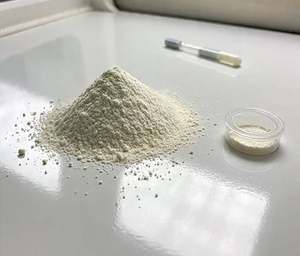 เอนไซม์อาหารอัลฟาอะมิเลสจากเชื้อรา - Product Image 1