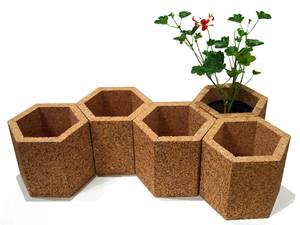 Premium Coir Fiber <b>Seed</b> Starter Pot – All-Natural Nutrient-Rich Root Trainer for Plant <b>Propagation</b> - Product Image 2