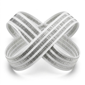 Cinta Metálica Plateada Lurex de 25 mm de Neelkamal Industries, Cinta Tejida con Rayas Blancas para Adornos de Prendas y Accesorios de Moda - Product Image 3