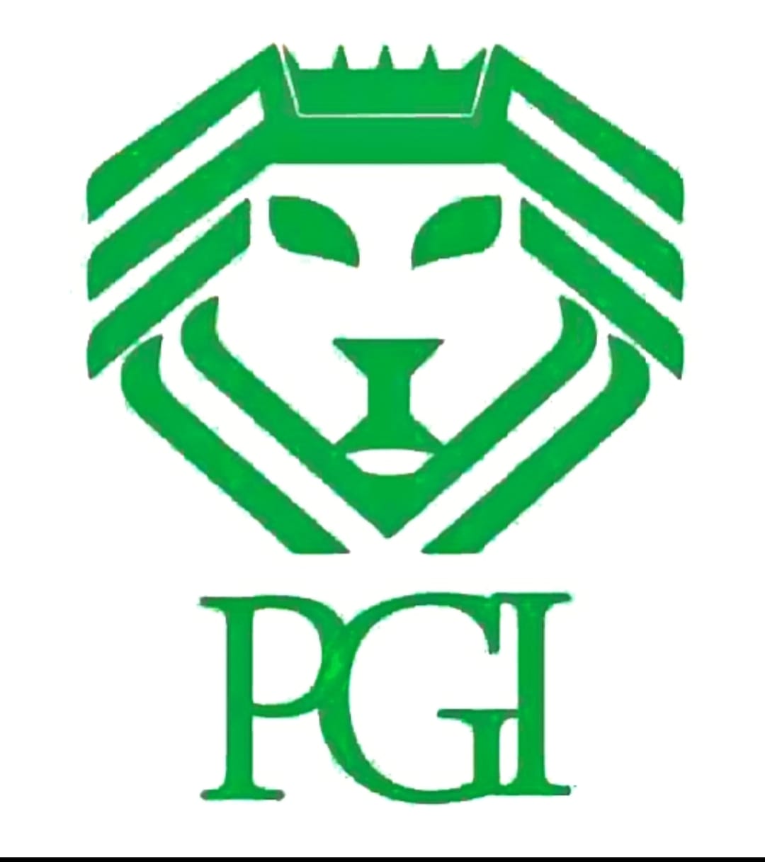 PANJSHIR GEMS INTERNATIONAL logo