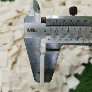 Cuadrados de Hueso de Búfalo Blanco de Diseño, Artesanía Ecológica Hecha a Mano para Arte y Decoración al Mejor Precio - Product Image 3