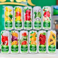 VINUT 0.33L Voor versgeperste suikersapdrank Vietnam dranken groothandel OEM ODM export leverancier