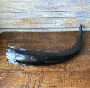 Cuerno Decorativo de Búfalo de Buena Calidad, Personalizado para Venta al Por Mayor, Adornos para Hoteles, Cuerno Decorativo para Pared de Habitación - Product Image 1