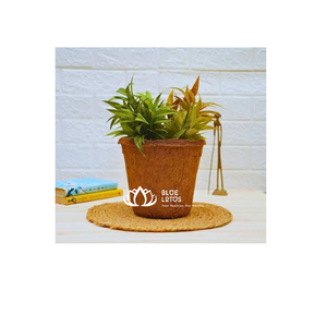 NOUVEAU Pot en fibre de coco biodégradable Blue Lotus, conteneur pour plantes en fibre de coco naturelle, style ferme, pour pépinière et vente en gros - Product Image 1