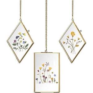 Cadre photo suspendu en laiton de style nordique vintage, double face, avec verre transparent, pour plantes pressées DIY, cadre d'art mural pour galerie - Product Image 2