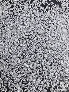 El mejor arroz vietnamita blanco orgánico de grano largo similar al nuevo cultivo Basmati de VILACONIC Mr Kelvin + 84 924 736 232 - Product Image 4